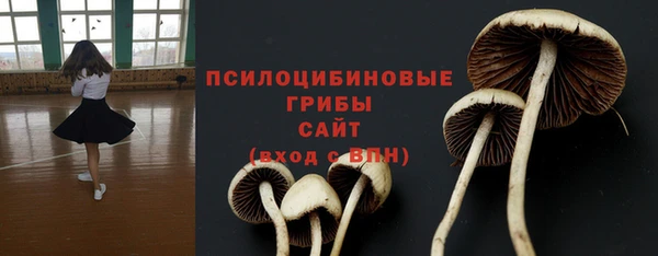хмурый Балабаново