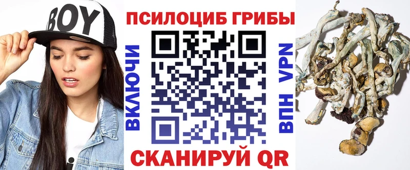 Псилоцибиновые грибы Psilocybine cubensis  Новотроицк 